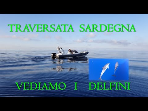 GOMMONE | TRAVERSATA da Fiumicino a Tavolara Sardegna 2020 - INCONTRO CON I DELFINI