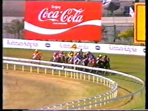 1985 Doomben 10000