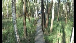 preview picture of video 'Spacer po Poleskim Parku Narodowym- maj 2009r'