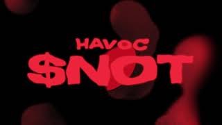 Havoc Music Video