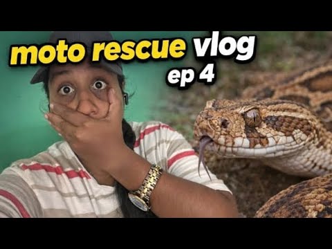 Cat ನ adoption ಗೆ ಕೊಟ್ಟೆ ❤️|| Moto Rescue Vlog ep 4|| Spoorthi HS