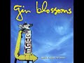 03 •  Gin Blossoms - Heart Shaped Locket  (Demo Length Version)