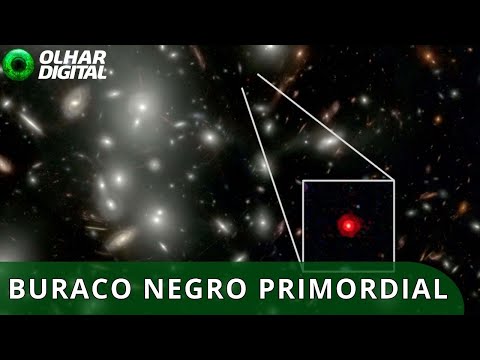 The missing proof: The James Webb Telescope may have discovered a primordial black hole