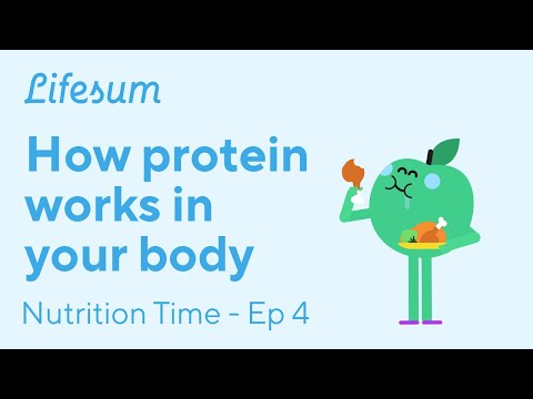 How protein works on your body | Nutrition Time - EP4 | Lifesum