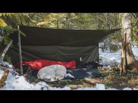 An Early Springtime Overnighter - Bushcraft & Camping in the Canadian Wilderness