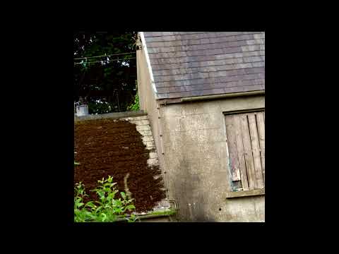 [FREE] acoustic nothing,nowhere. x skele x sewerperson x killedmyself type beat - safer with you.