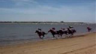 preview picture of video 'Carreras de caballos en Sanlucar de Barrameda'