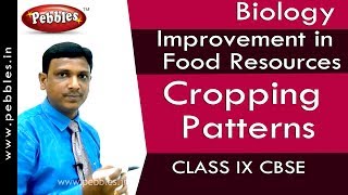 Cropping Patterns : Improvement in Food Resources | Biology | Class 9 | CBSE