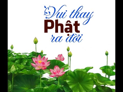 Vui thay Phật ra đời Sheet - Đức Tuấn