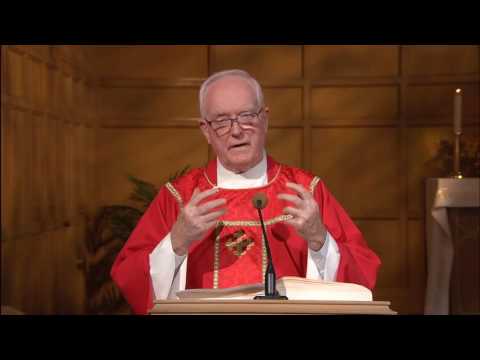 Daily TV Mass Saturday, November 12, 2016