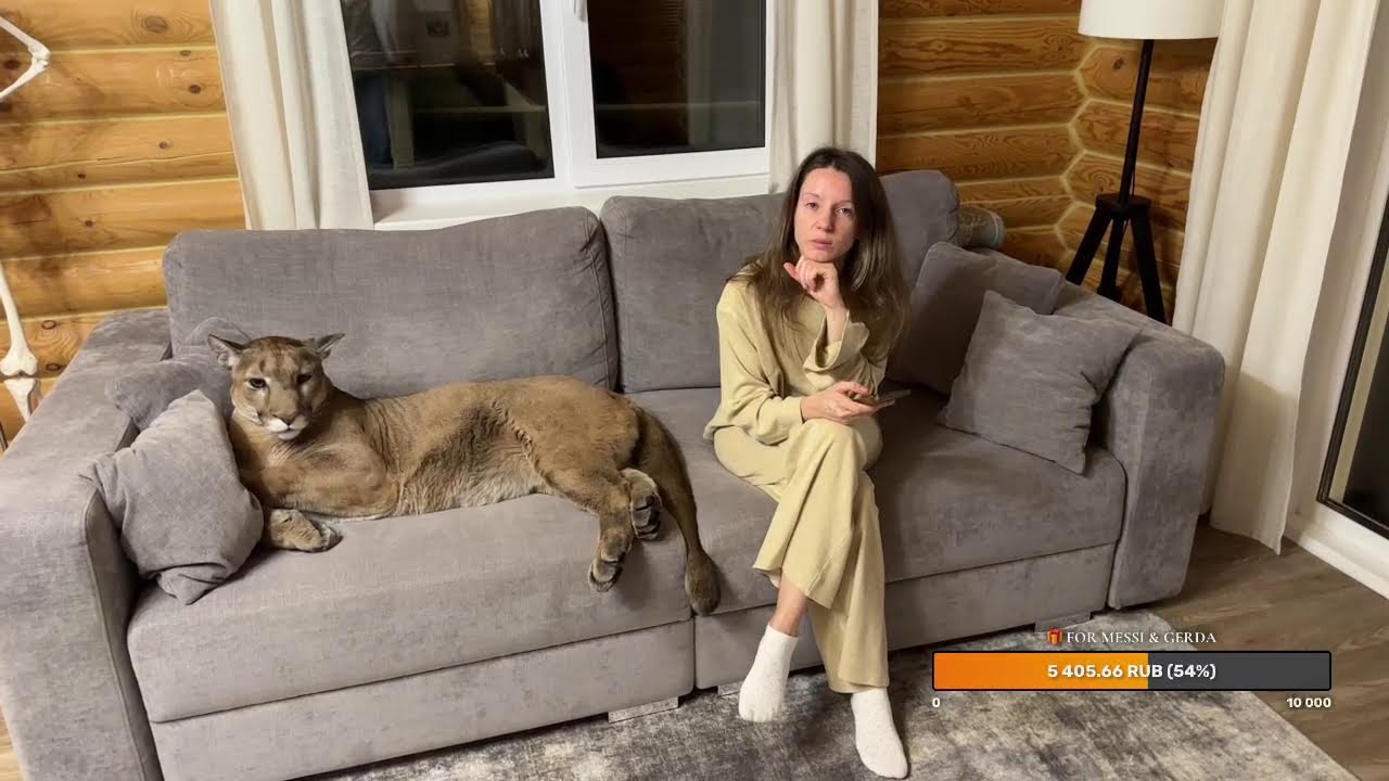 Прямой эфир 16 ноября🥶