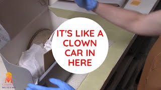 Unboxing Museum Artifacts - What Treasures are Inside?