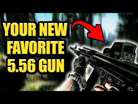 Your New Favorite 5.56 Gun - Ak 101 Build Tarkov