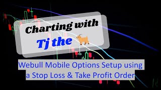 Setting Stop Loss/Take Profit orders with Webull Mobile