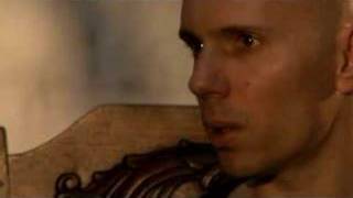 An Introduction to ASHES dIVIDE (Wish)