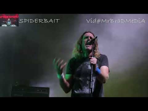 Thumbnail for Son Of Spiderbait RARE FOOTAGE WAtch, KraMs son join SPRINGLOADED2023 by Spiderbait