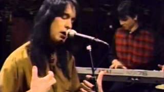 Todd Rundgren Parallel Lines on Night Music