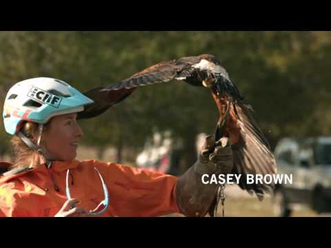 2016 Crankworx Whistler Broadcast - Clif Bar Dual Speed and Style