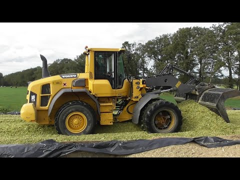 CWV Barlo chopping corn