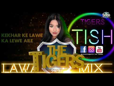 THE TIGERS X TISH PARAGH - LAWA MIX 2K21