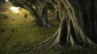 Así te quiero yo - Los Yonics (Letra canción)