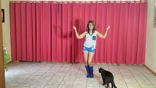 Turn On The Radio Beginner Line Dance.