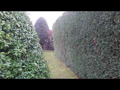 Jardinier Paysagiste Bassin Arcachon - Contrat d'entretien - Taille