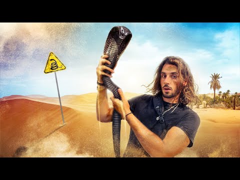 J'ai attrapé le serpent le plus mortel d'Afrique du Nord ! (techniques ancestrales)