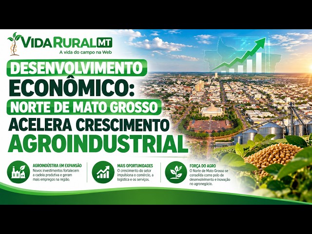 NORTE DE MATO GROSSO ACELERA CRESCIMENTO AGROINDUSTRIAL