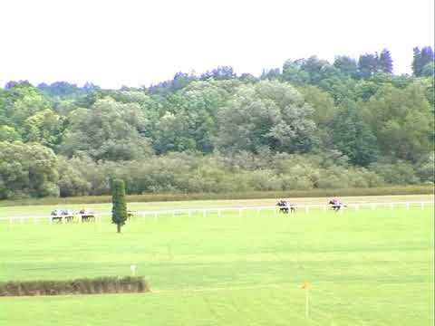 NE, 20. 8. 2017, 3. dostih - CENA DOSTIH PŘÁTEL DOSTIHOVÉHO ZÁVODIŠTĚ NETOLICE