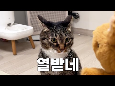 끝나지 않은 중성화의 복수