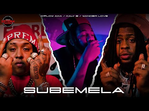 D Flow Aka ❌ Kaly 8 ❌ Wander Love - Subemela (Video Oficial) @pelucafilms_
