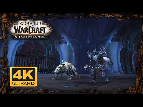 WOW SHADOWLANDS Gameplay Walkthrough 4K ᵁᴴᴰ 60ᶠᵖˢ ✔ TORGHAST COLDHEART INTERSTITIA Layer 8