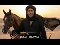 DESERT PROMISE - RASELHITS