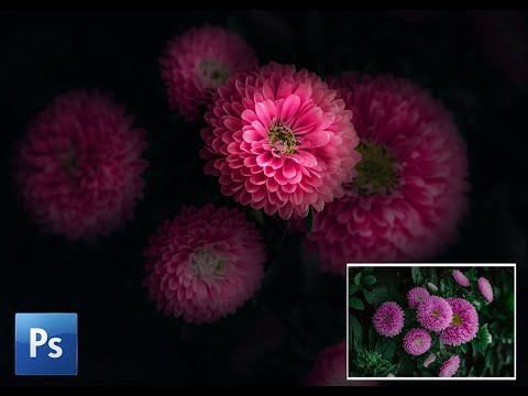 How to edit dark fine art flower photography in Photoshop