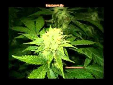 Classic Underground Rap Instrumental 112