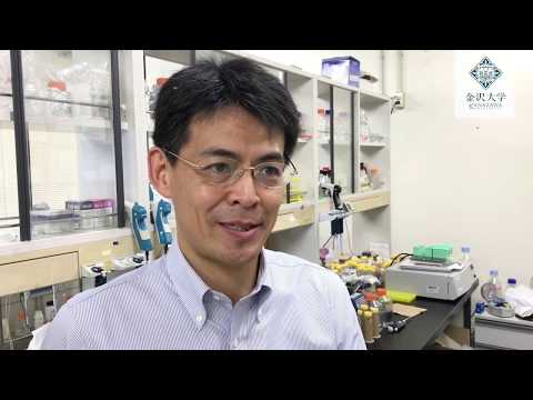 Researcher's Voice #2「独自の研究技術で脳形成の謎に迫る」医薬保健研究域医学系　河﨑 洋志 教授