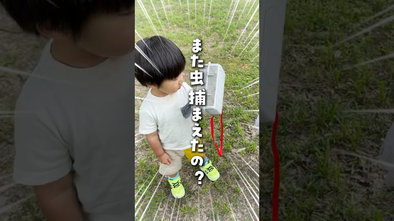 [推しグッズ]虫大好きっ子マストアイテム！