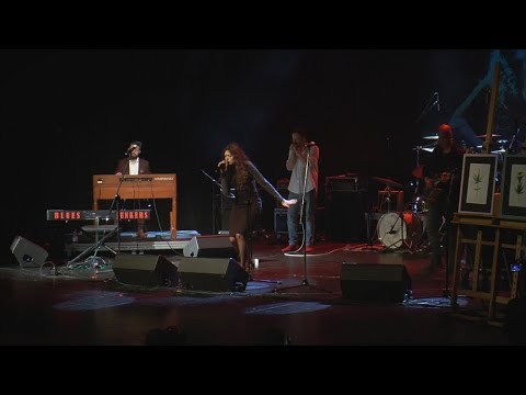 MIĘDZYNARODOWY FESTIWAL MUZYCZNY "BLUESTRACJE" 2019