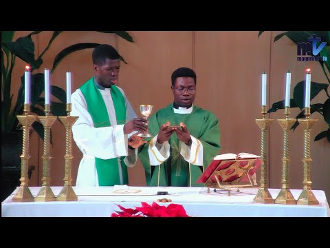 La Sainte Messe du jour | Jeudi, 1ère Semaine du T. O. | 15-01-2026 |  P. Anselmo ADZAKLUI-TUME, FM