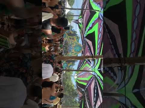 Neelix equilibrium 10 anos - fazenda camping