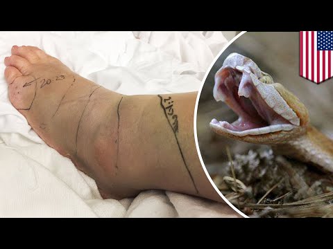 Copperhead snake: Woman bitten by venomous snake inside Longhorn Steakhouse in Virginia - TomoNews