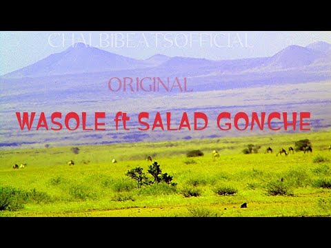 WASOLE ft salad gonche