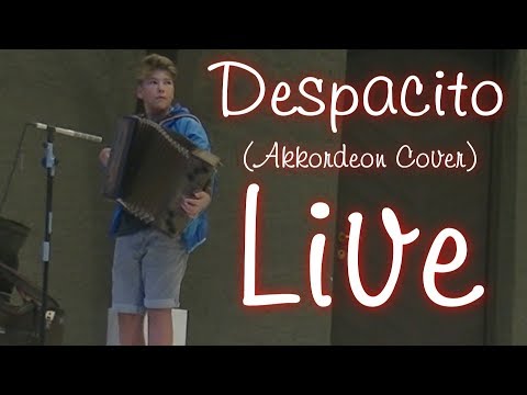 Despacito (Akkordeon Cover) Live (Performance by Max from Schuhplattler Kortsch) | 1080p HD