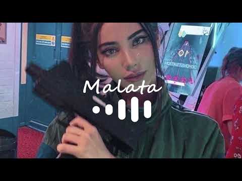 Белый & Stunny Marque - Denge | 2022