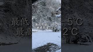 #shorts 朝雪、積雪は10cmくらいかなぁ。寒い #古民家 #犬のいる暮らし
