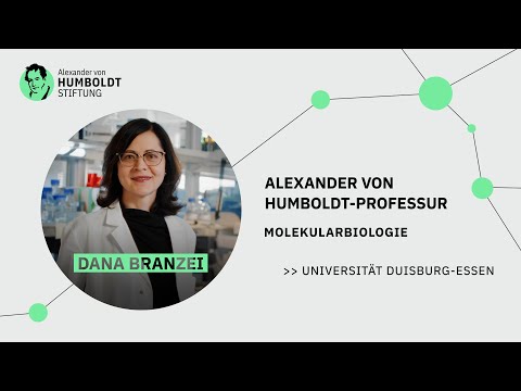 Mechanismen der DNA-Reparatur – Humboldt-Professorin Dana Branzei