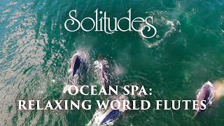 Dan Gibson’s Solitudes - Love Eternal | Ocean Spa: Relaxing World Flutes