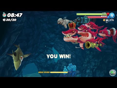 Galleon Map 20 Coins ! THE FRENZY Live Contest - Hungry Shark World