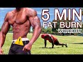5 Minute CARDIO Workout for FAT BURN (BODYWEIGHT Only) - FOLLOW ALONG